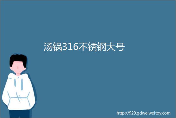 汤锅316不锈钢大号